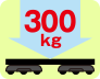 最大300kg