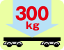 最大300kg